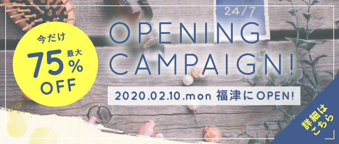 OPENING CAMPAIGN